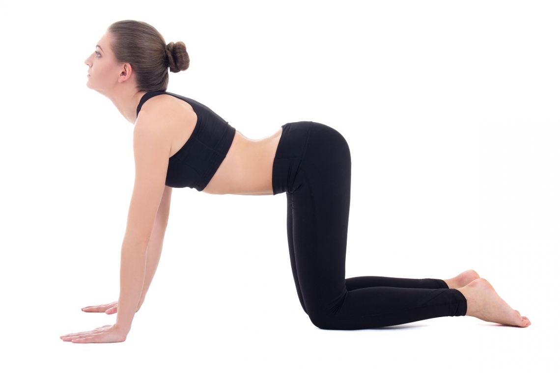Woman in yoga cat pose position